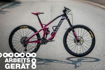 Arbeitsgerät: Canyon Strive CF von Ines Thoma