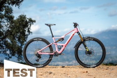 Trail-Bike-Test 2024 – Orbea Occam LT: Pink Panther
