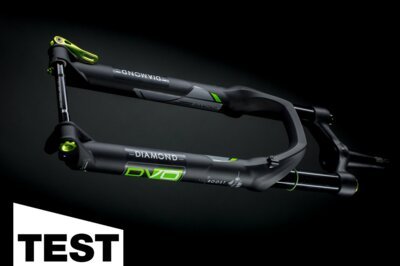 DVO Diamond 29 im Test: Giftgrüner Experte