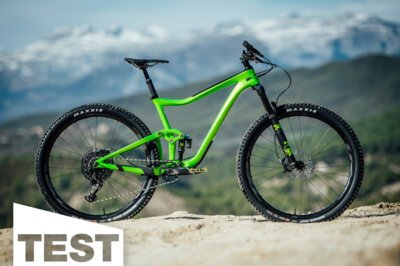 Giant Trance Advanced Pro 29 im Test: XC-Feile auf Steroiden