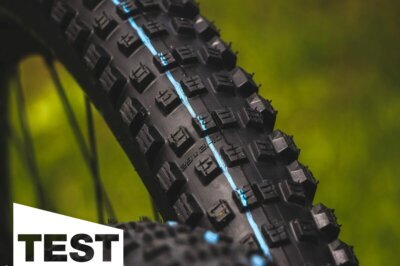 Schwalbe Wicked Will MTB-Reifen im ersten Test: Die eierlegende Down Country-Sau