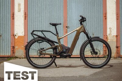 Riese & Müller Delite5 GT Pinion im Test: Das ultimative SUV-Bike für maximale Ansprüche?