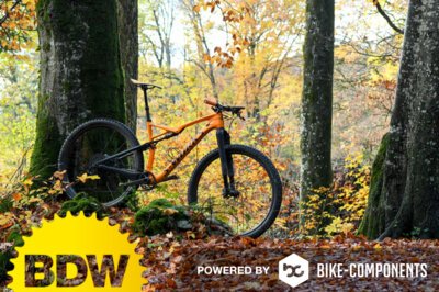 Bike der Woche: Specialized Epic von IBC-User famagoer