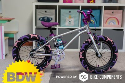 Bike der Woche: Early Rider Belter 16 von IBC-User Ray