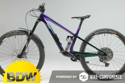 Bike der Woche powered by bike-components: Last Tarvo von IBC-User dersteini