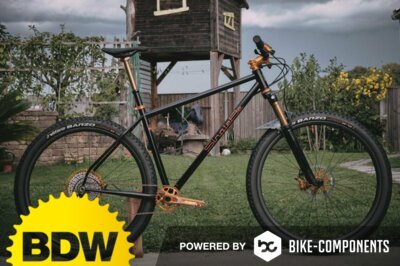 Bike der Woche powered by bike-components: SingleBe Custom von IBC-User stashrudolf