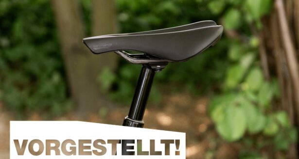 Artikel-Titelbild
